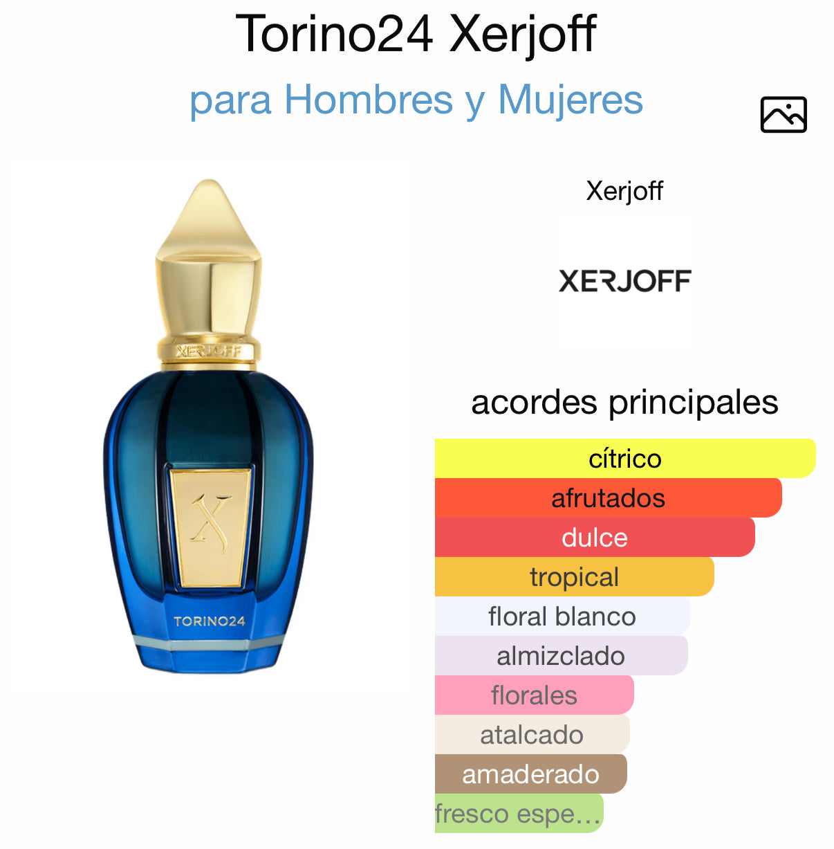 Torino 24 Xerjoff Eau de Parfum