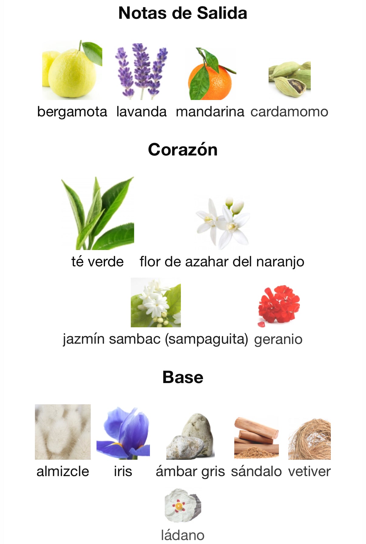 Neptune’s Trident Argos Extrait de Parfum 100 ml