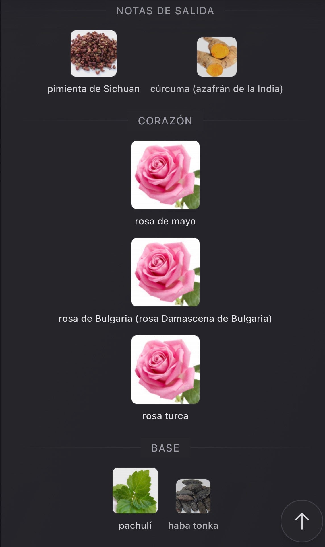 Rose Prick Tom Ford Eau de Parfum 50 ml (Preventa)