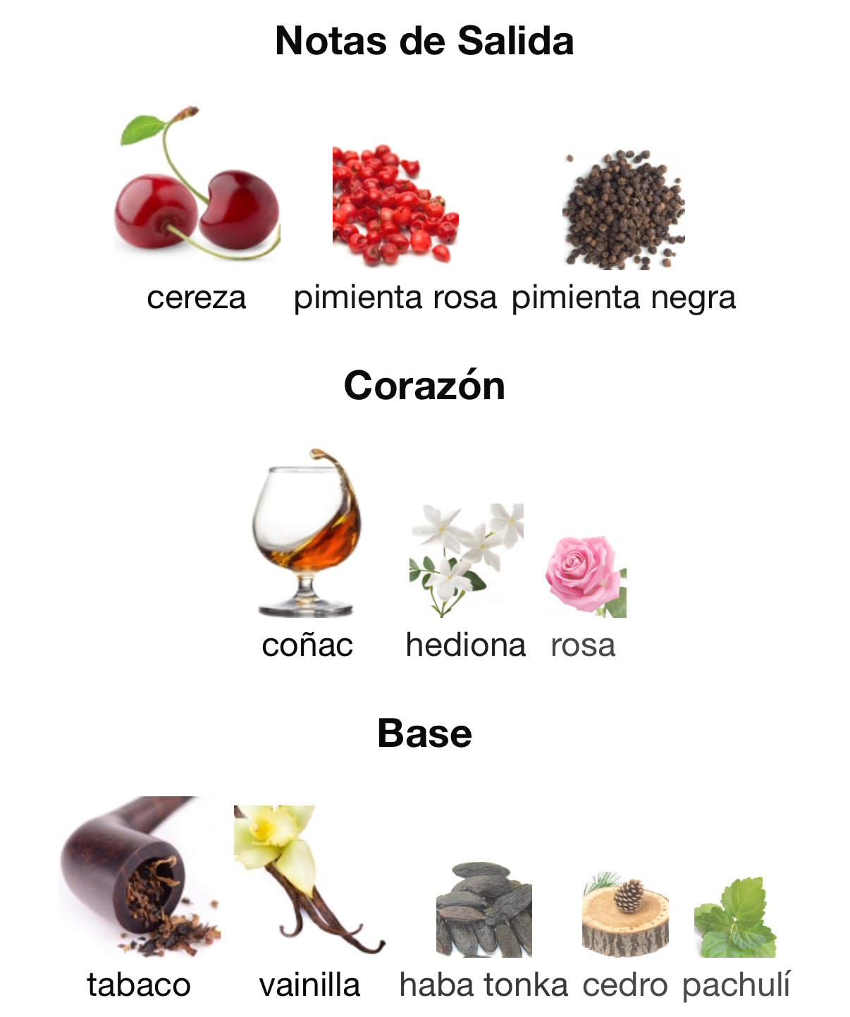 Narcotic Delight Eau de Parfum Initio 90 ml