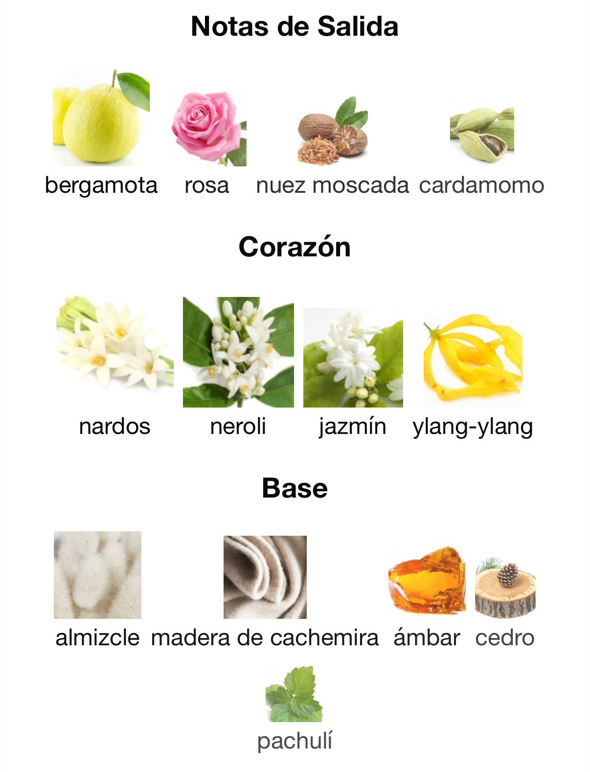 Torino 23 Xerjoff Eau de Parfum 50 ml (Preventa)