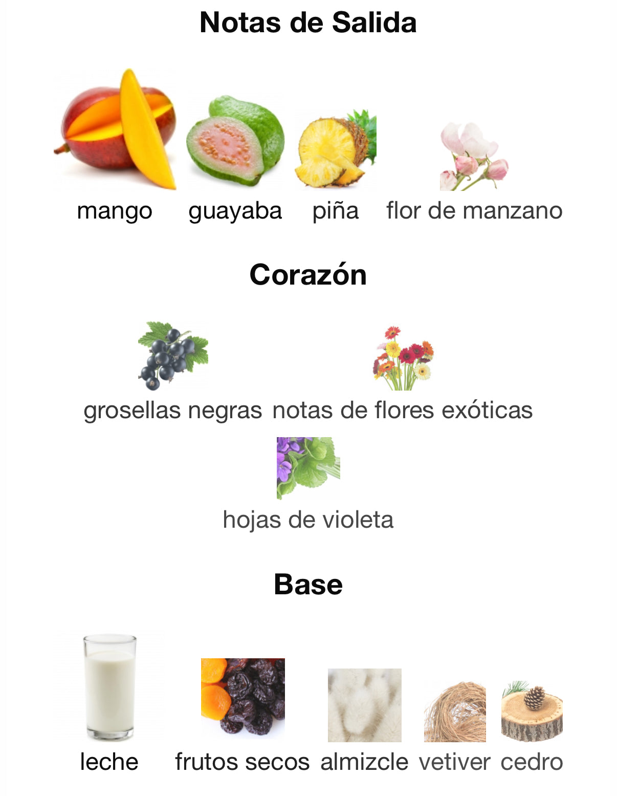 Cruz del Sur II Xerjoff 50 ml