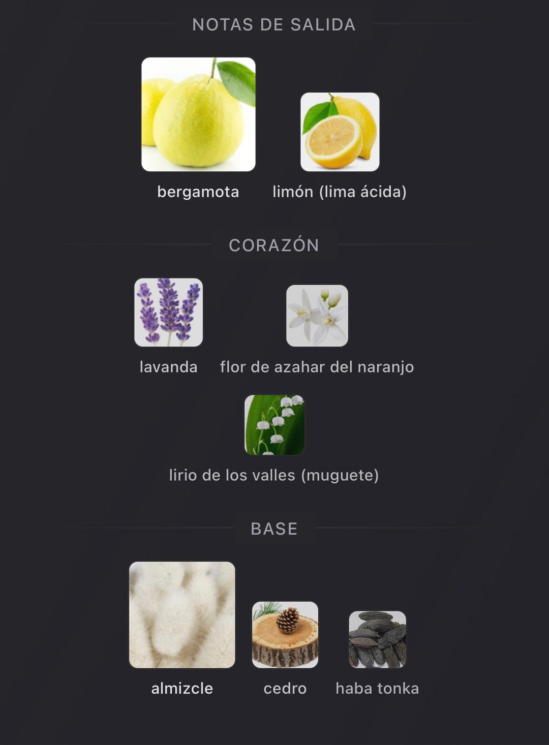 Notas olfativas de Bergamask de Orto Parisi