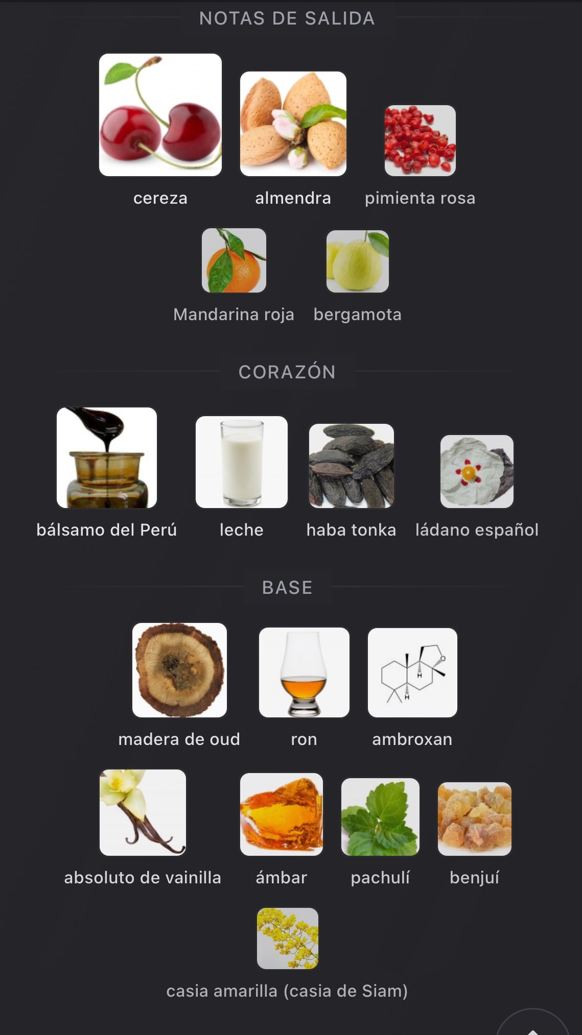 Rouge Smoking BDK Extrait de Parfum 100 ml (Preventa)