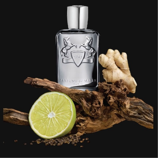 Castley Parfums de Marly Eau de Parfum