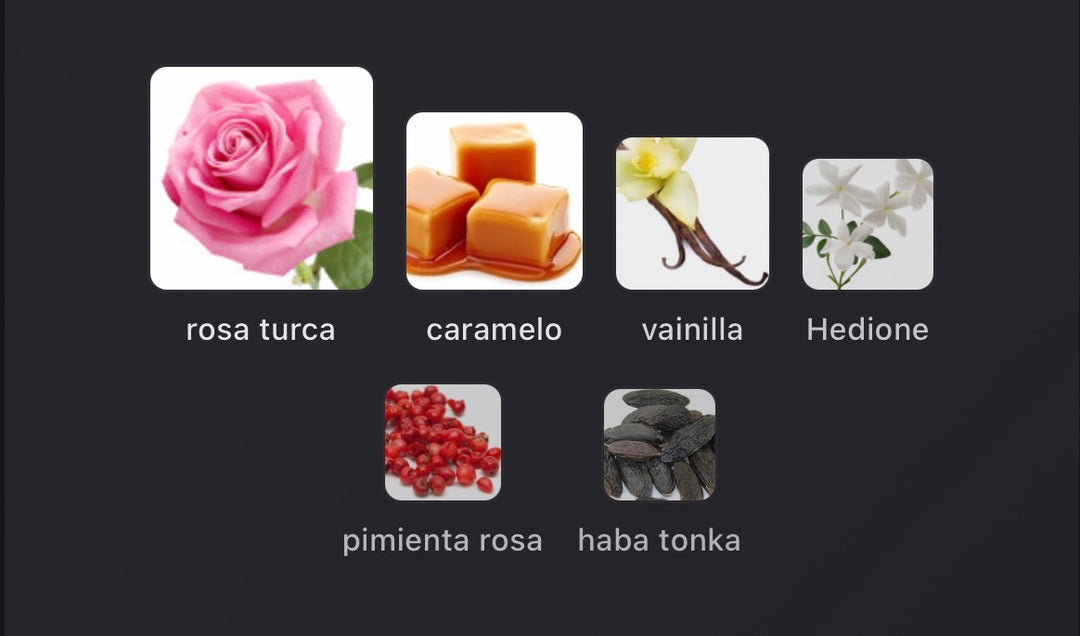 Notas olfativas de Can't Get Enough de Initio Parfums Privés