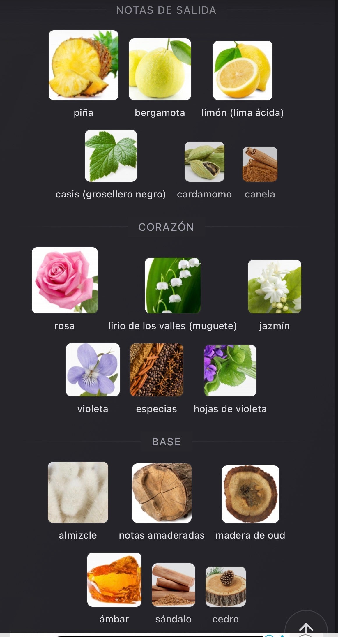 Azrak Boadicea Eau de Parfum 100 ml (Preventa)
