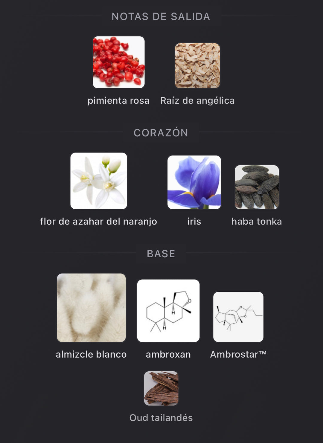 Notas olfativas de 312 Saint Honoré de BDK Parfums