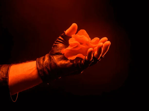 Mano con guante de piel sosteniendo flores en luz naranja, imagen de Fierezza de Xerjoff x Lamborghini