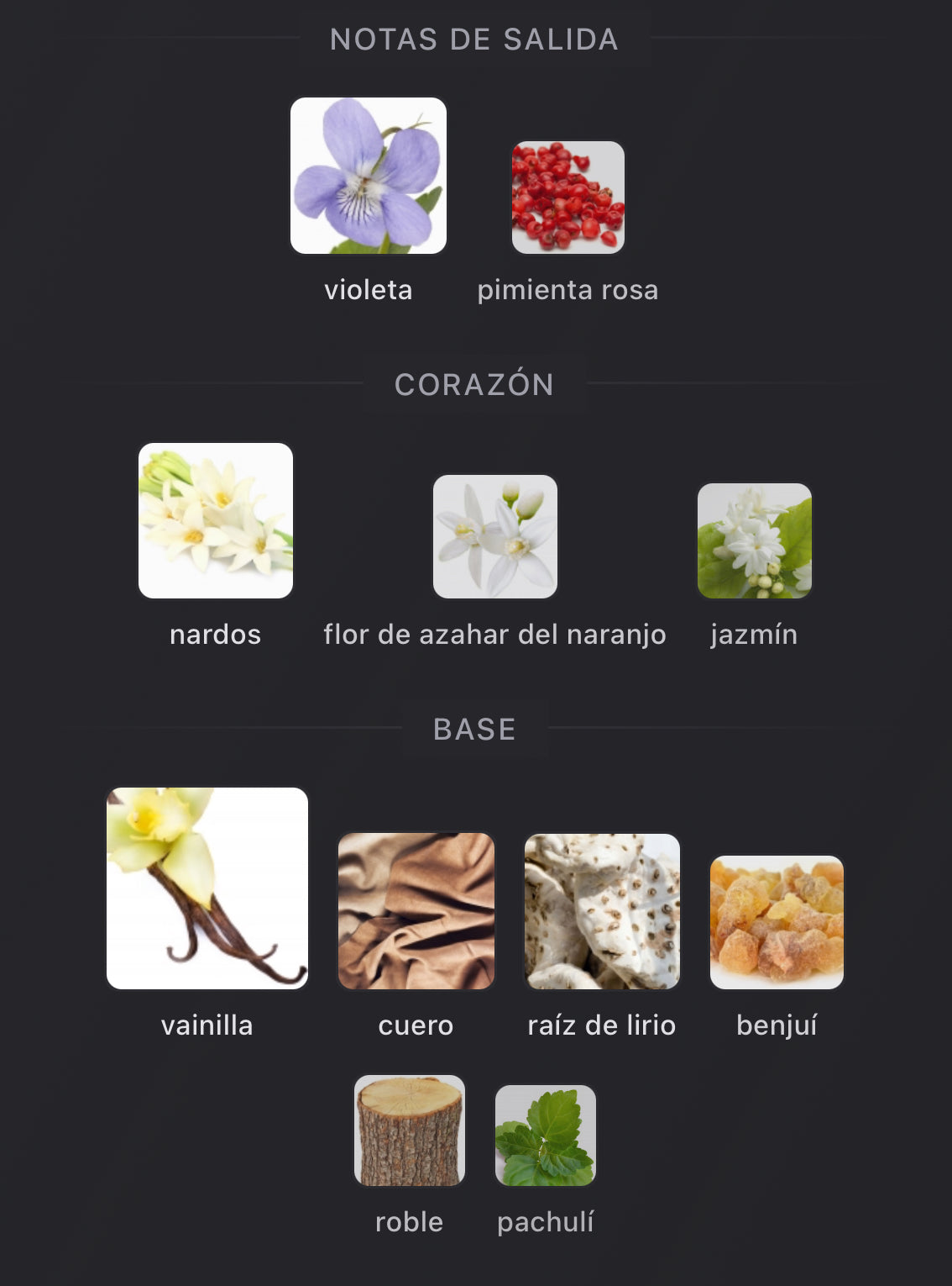 Notas olfativas de Vanille Leather de BDK Parfums