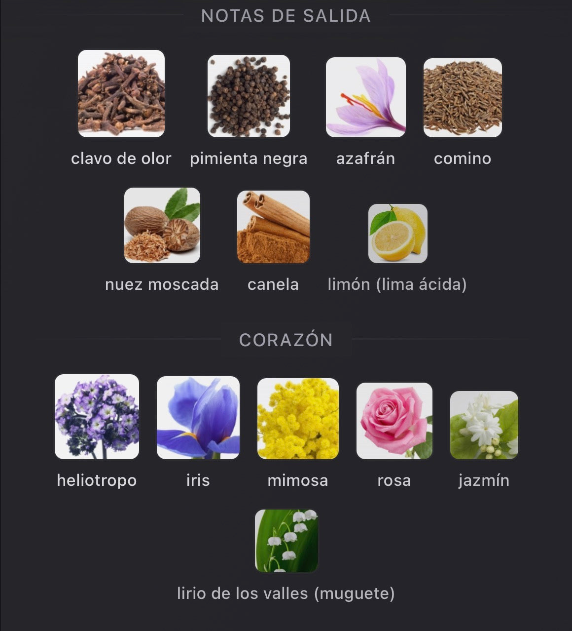 Moth Extrait de Parfum Deluxe Zoologist 60 ml (Preventa)