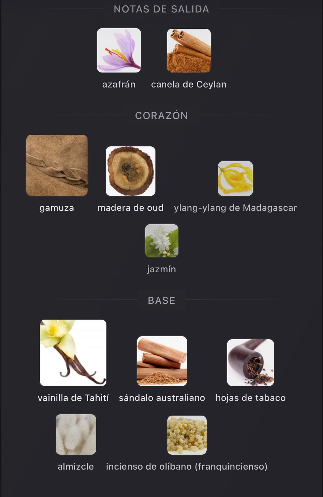 Notas olfativas de Silky Woods de Goldfield & Banks