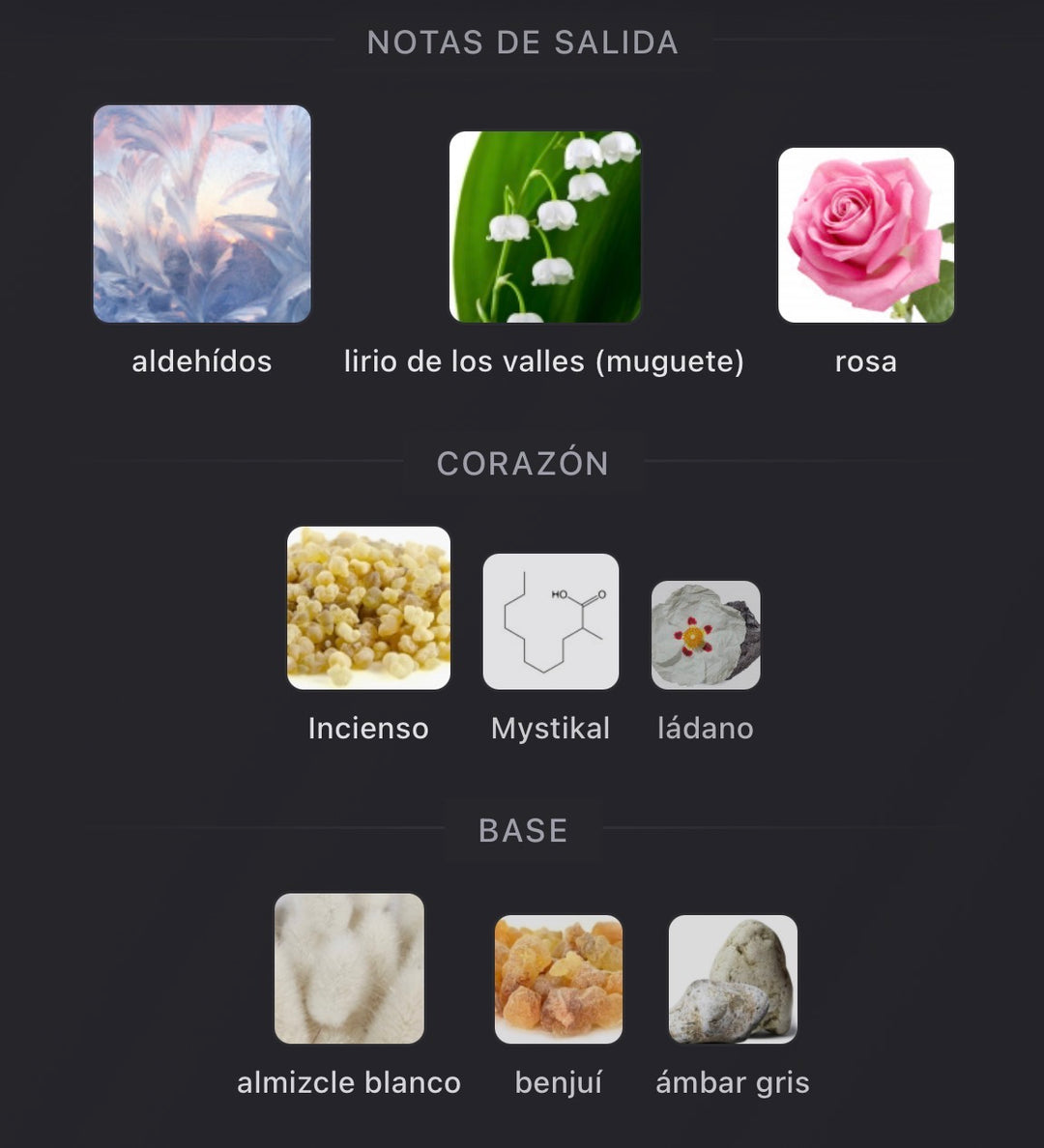 Notas olfativas de Existence de Amouage