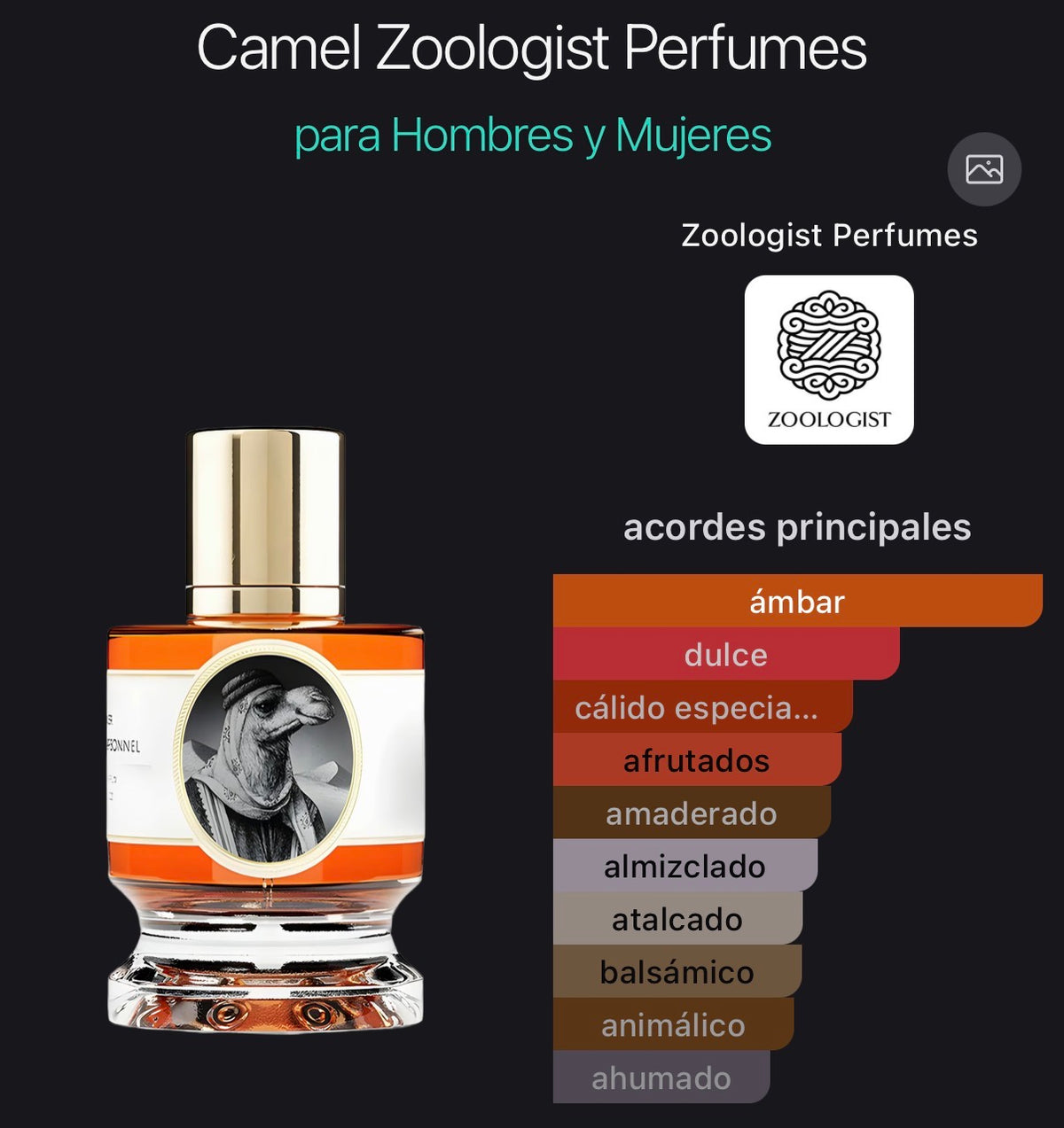 Acordes principales de Camel de Zoologist