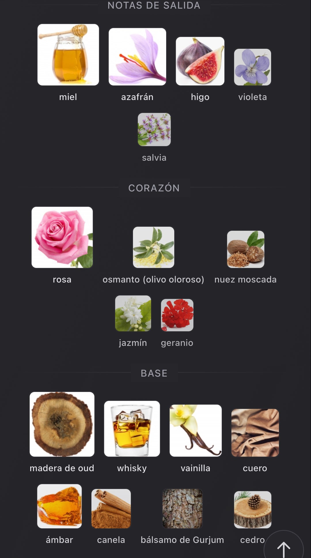 Notas olfativas de Nefs de Nishane