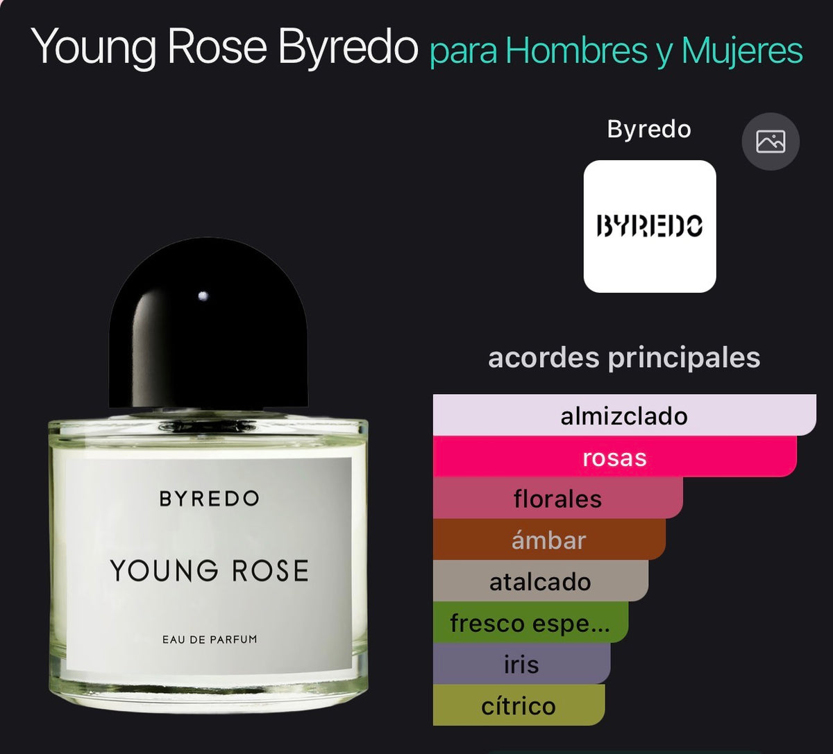 Young Rose Byredo Eau de Parfum 100 ml (Preventa)