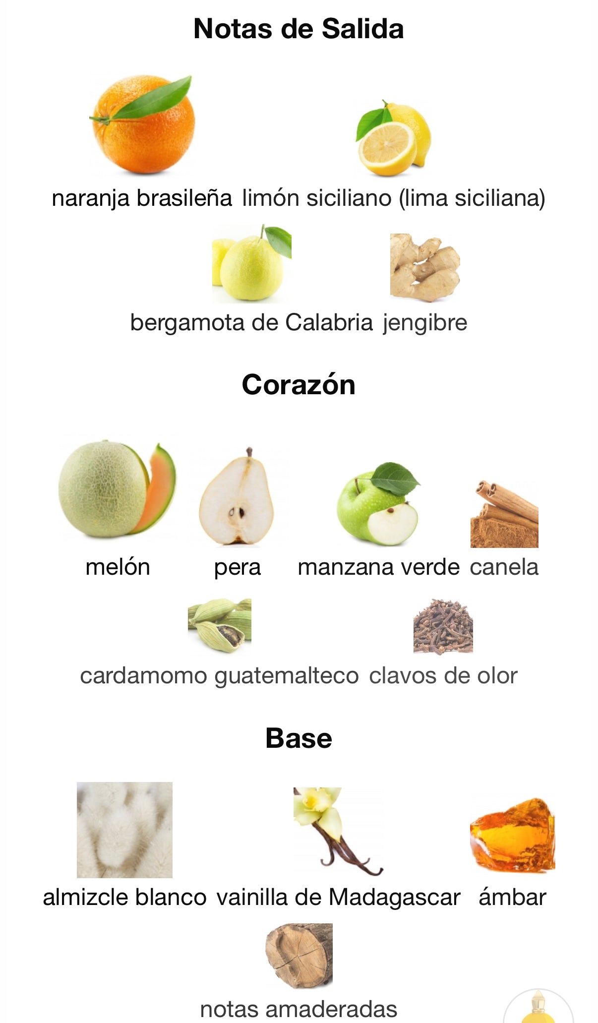 Erba Gold Xerjoff Eau de Parfum