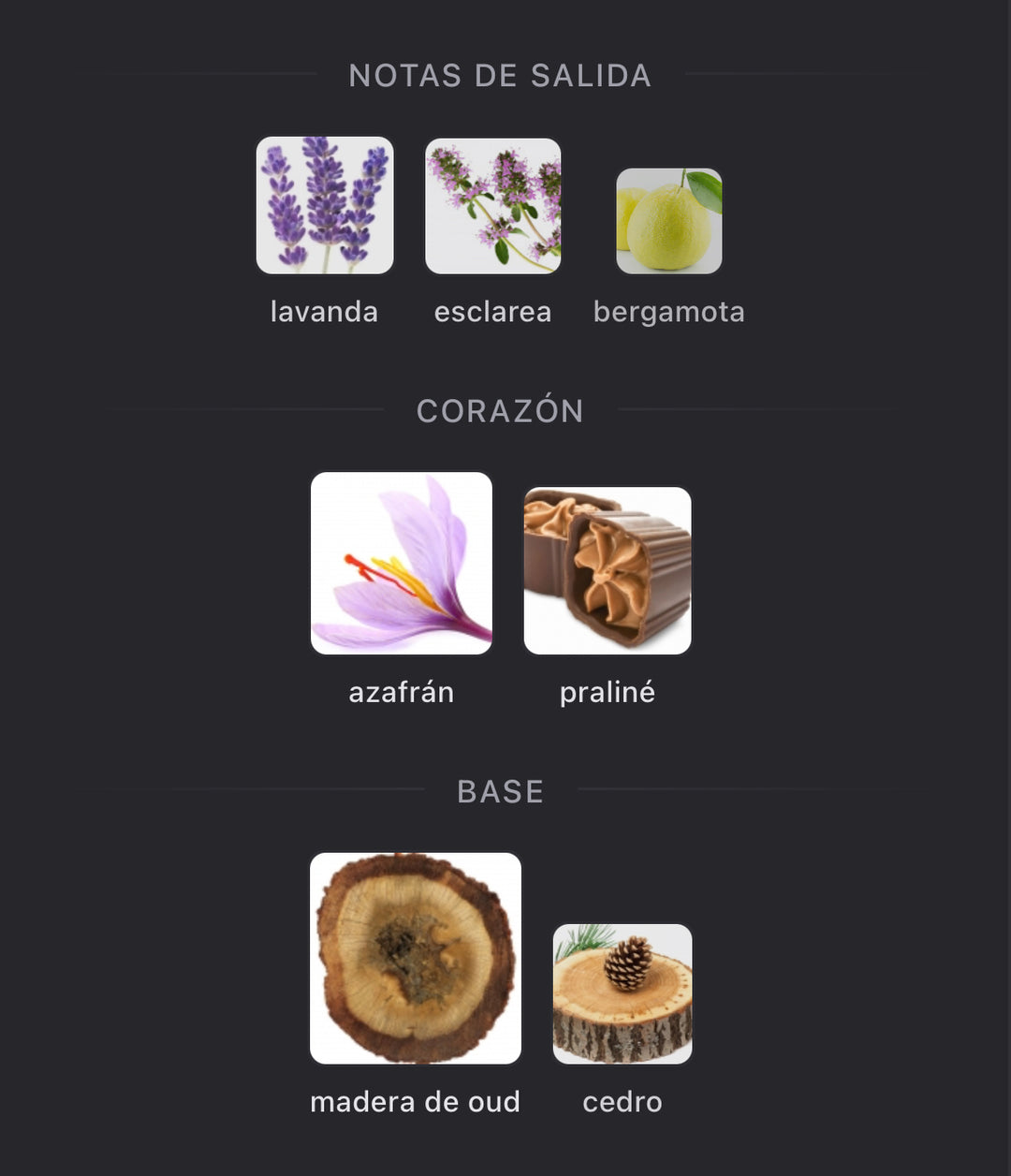 Notas olfativas de Haltane de Parfums de Marly
