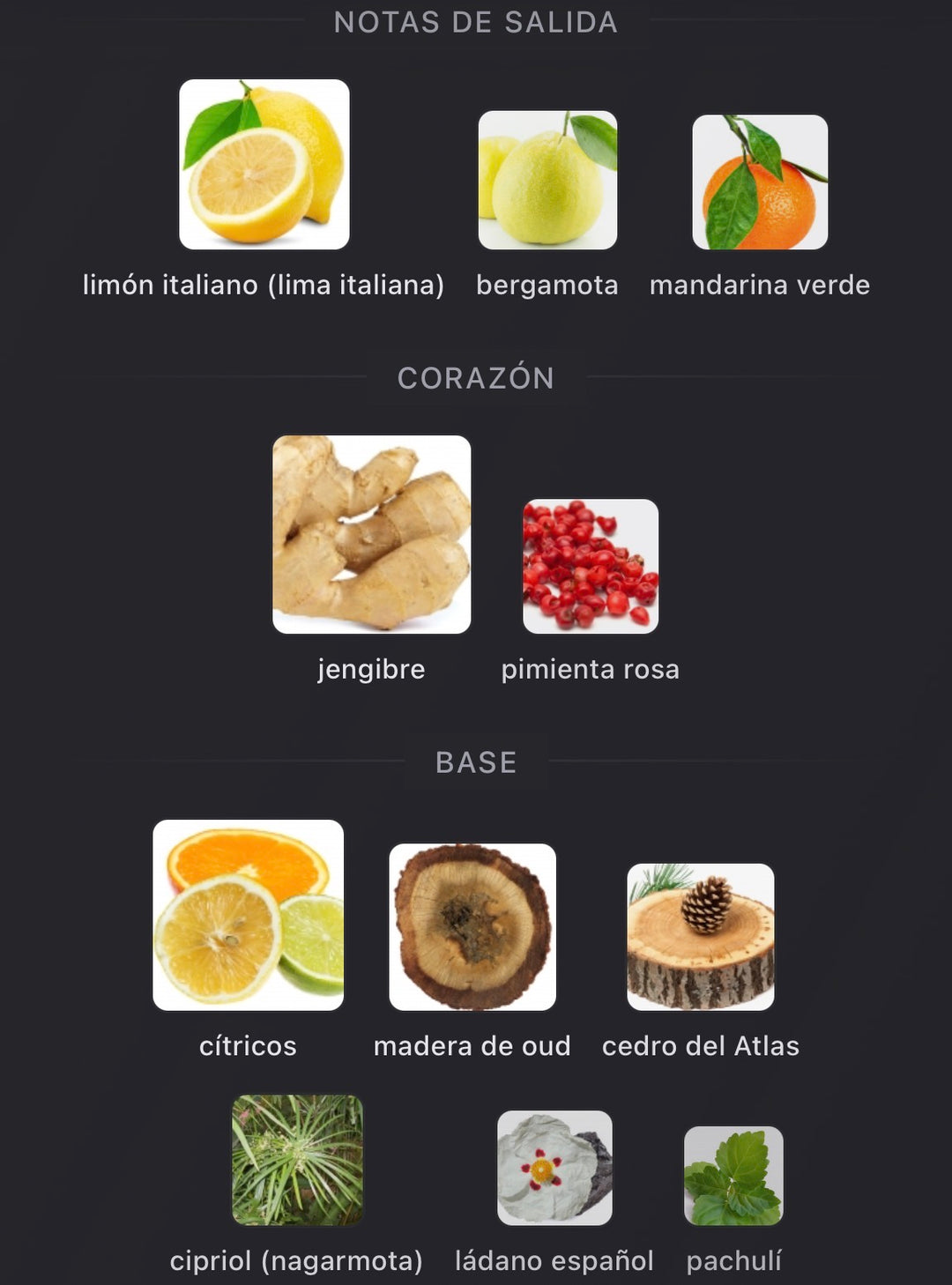 Notas olfativas de Silver Ceremony de BDK Parfums