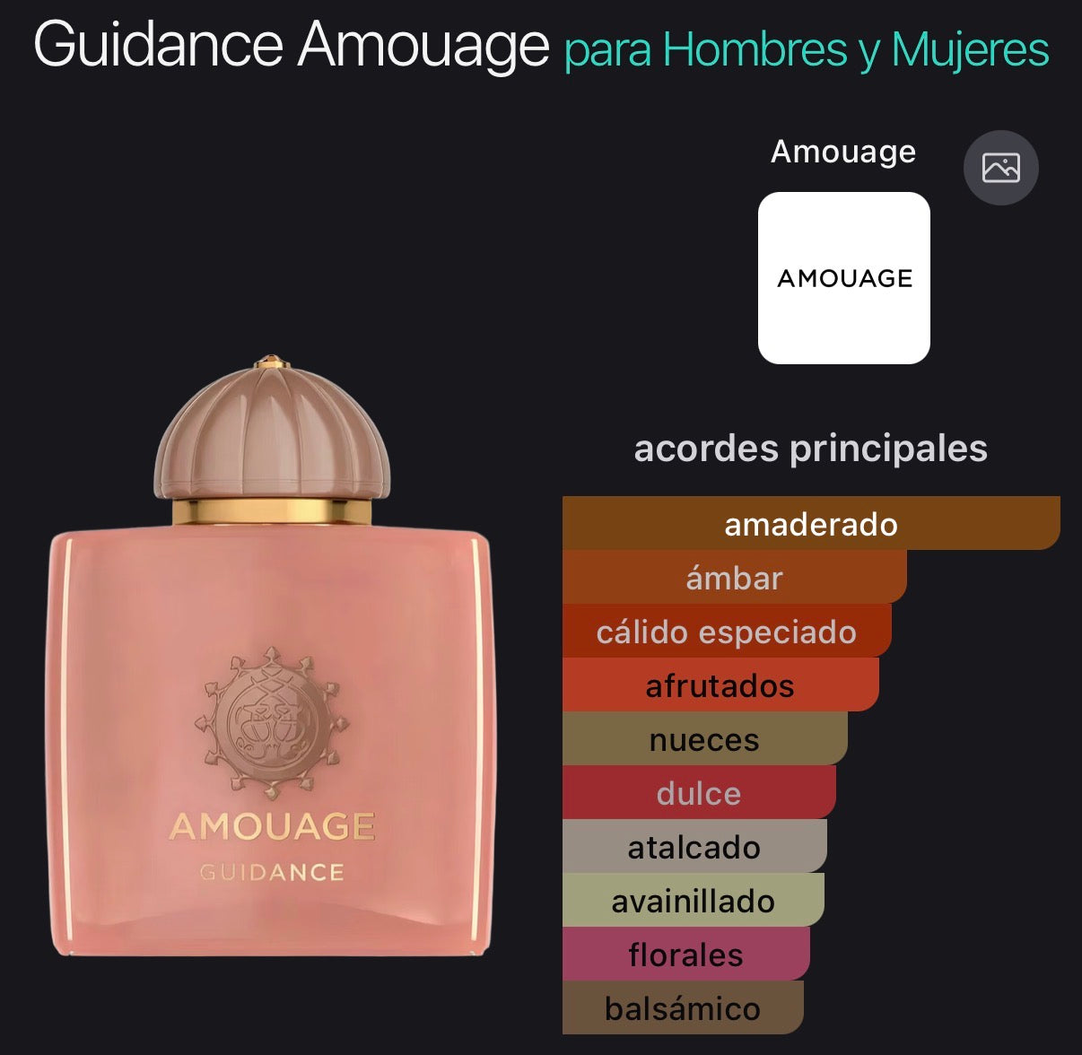 Amouage Guidance Eau de Parfum 100 ml (Preventa)