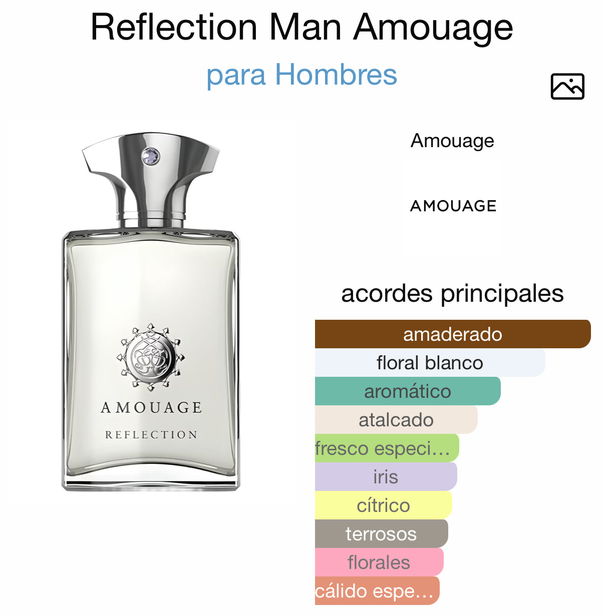 Amouage Reflection Man EDP 100 ml