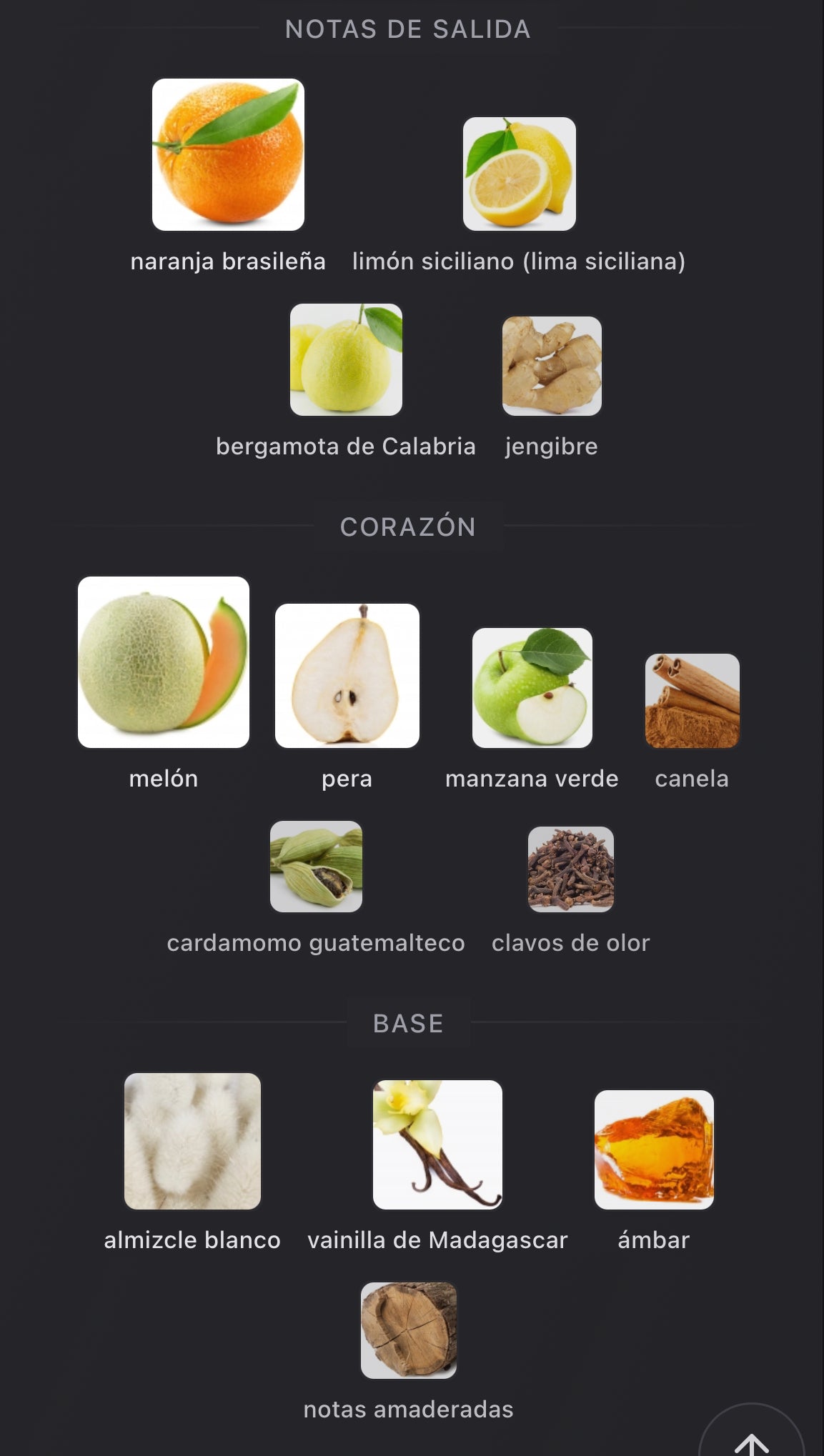 Notas olfativas de Erba Gold de Xerjoff