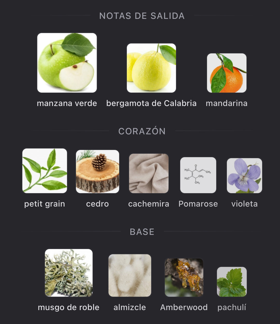 Notas olfativas de Greenley de Parfums de Marly