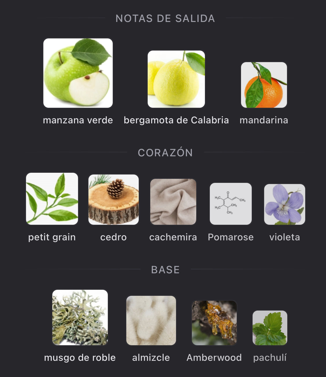 Notas olfativas de Greenley de Parfums de Marly