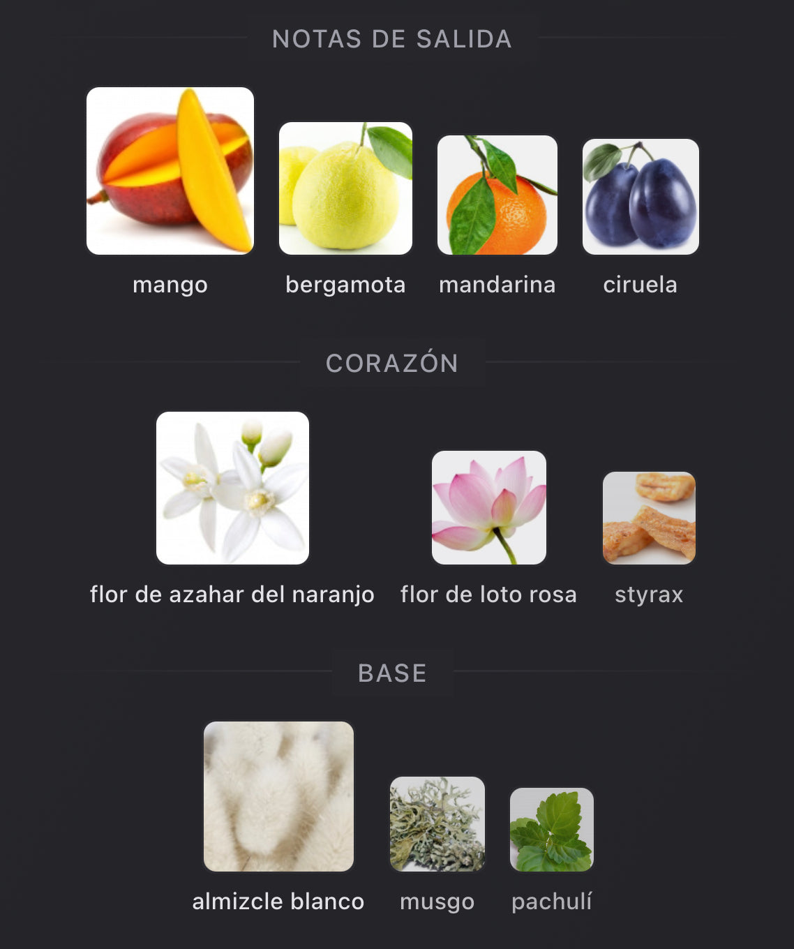 Torino 24 Xerjoff Eau de Parfum (Preventa)