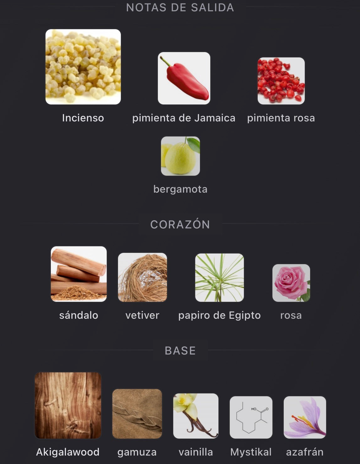 Notas olfativas de Purpose 50 de Amouage