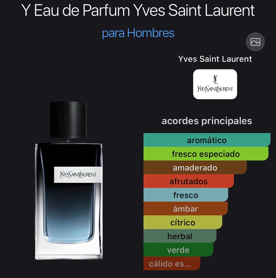 Acordes principales de Y Eau de Parfum de Yves Saint Laurent