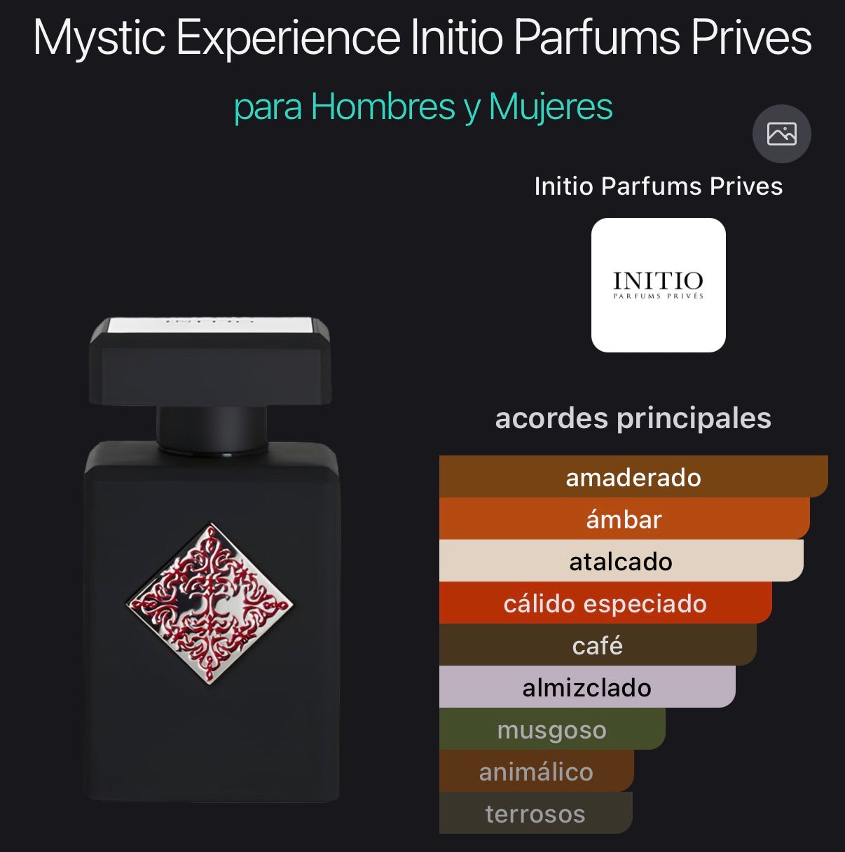 Mystic Experience Eau de Parfum Initio Parfums Privés 90 ml (Preventa)