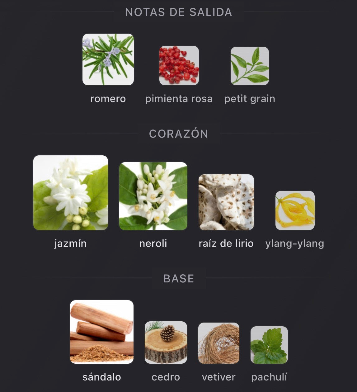 Notas olfativas de Reflection Man de Amouage