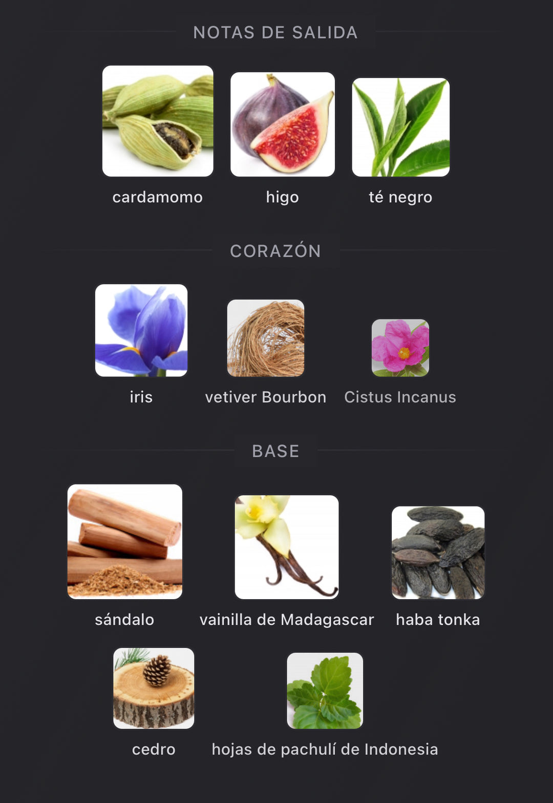 Notas olfativas de Gris Charnel Extrait de BDK Parfums