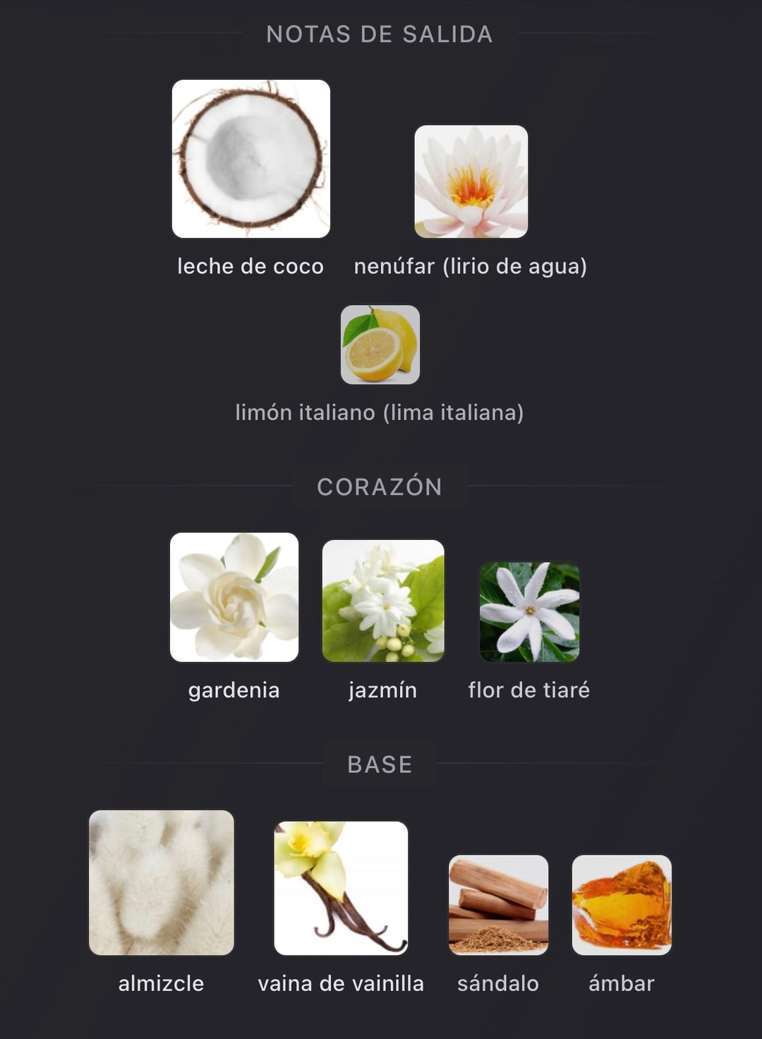 Notas olfativas de Playmate de Mind Games
