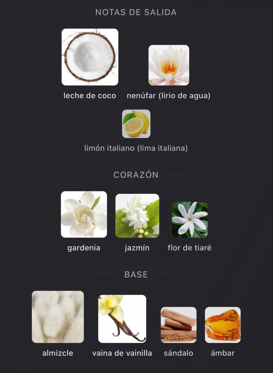 Notas olfativas de Playmate de Mind Games