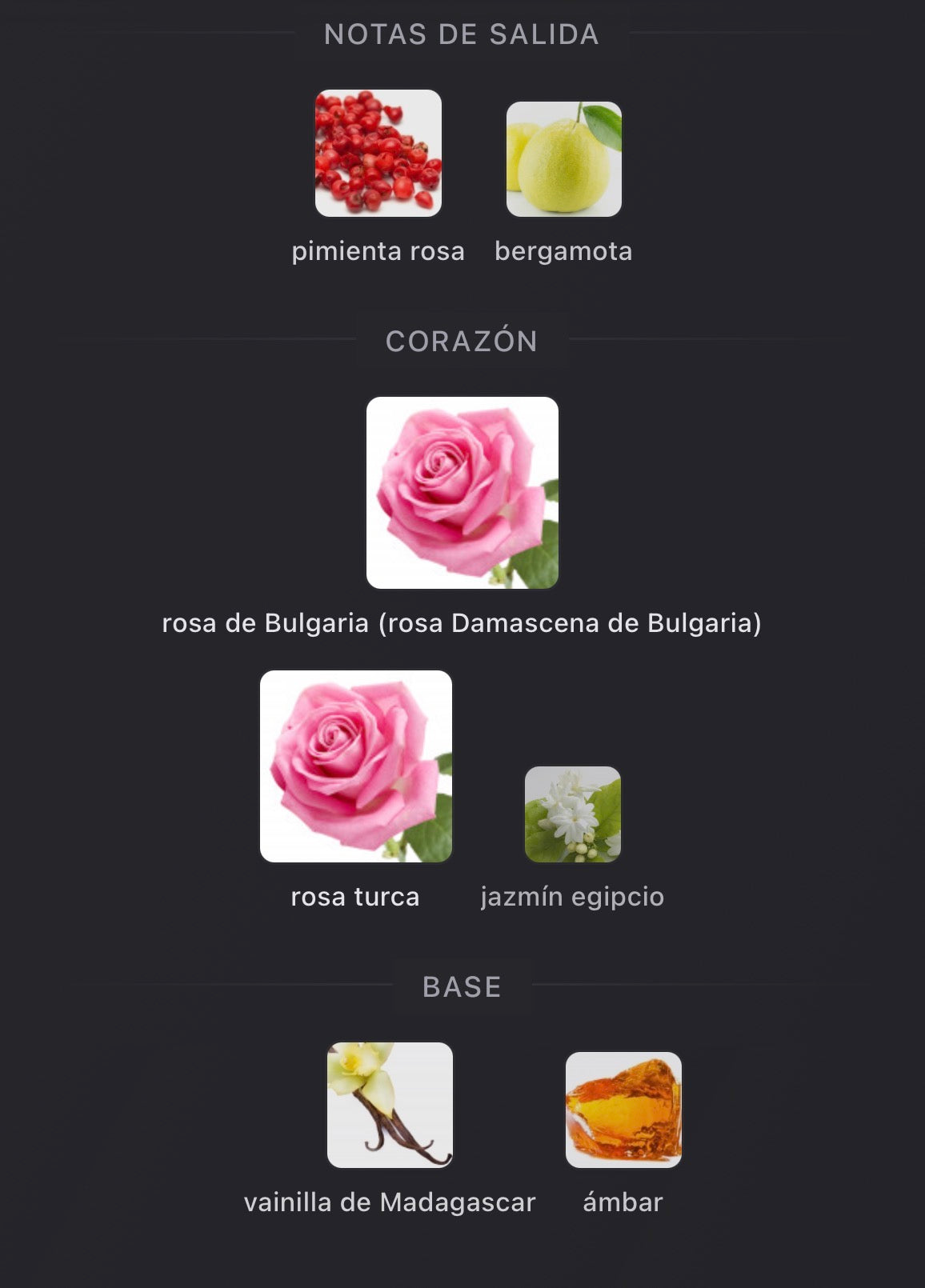 Atomic Rose Initio Parfums Privés Eau de Parfum 90 ml (Preventa)