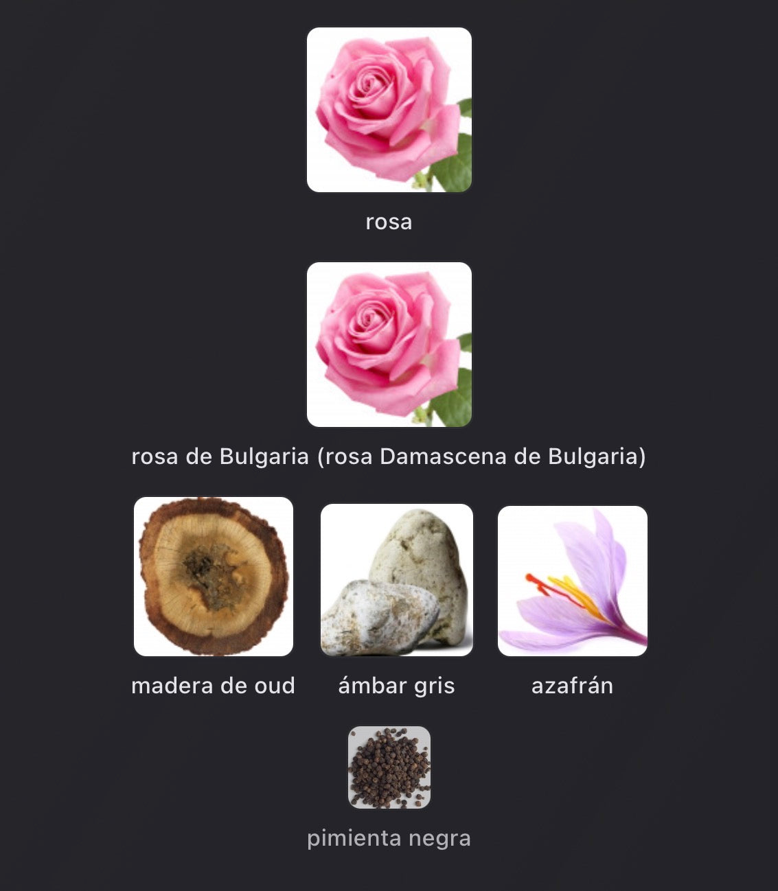 Notas olfativas de Les Sables Roses de Louis Vuitton