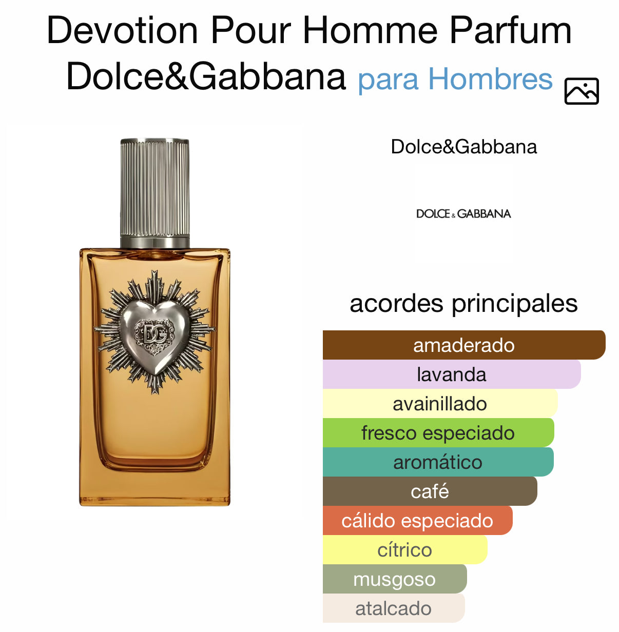 Devotion Pour Homme Parfum Dolce & Gabanna 100 ml