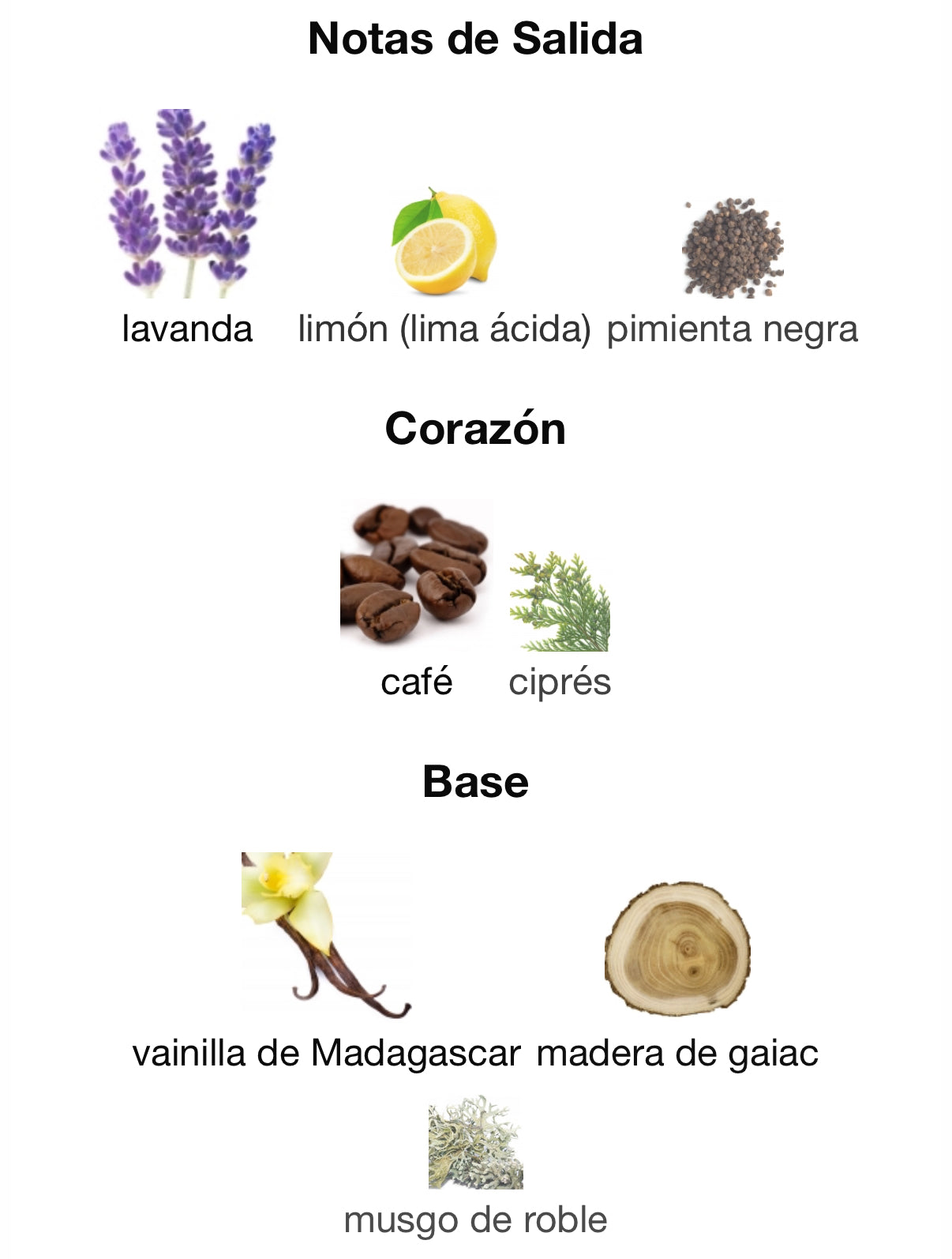 Devotion Pour Homme Parfum Dolce & Gabanna 100 ml