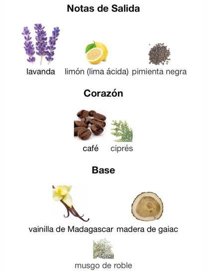 Devotion Pour Homme Parfum Dolce & Gabanna 100 ml