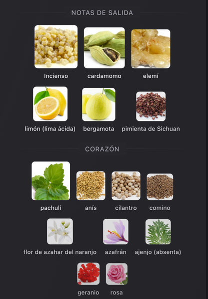 Amouage Outlands Extrait de Parfum 100 ml (Preventa)