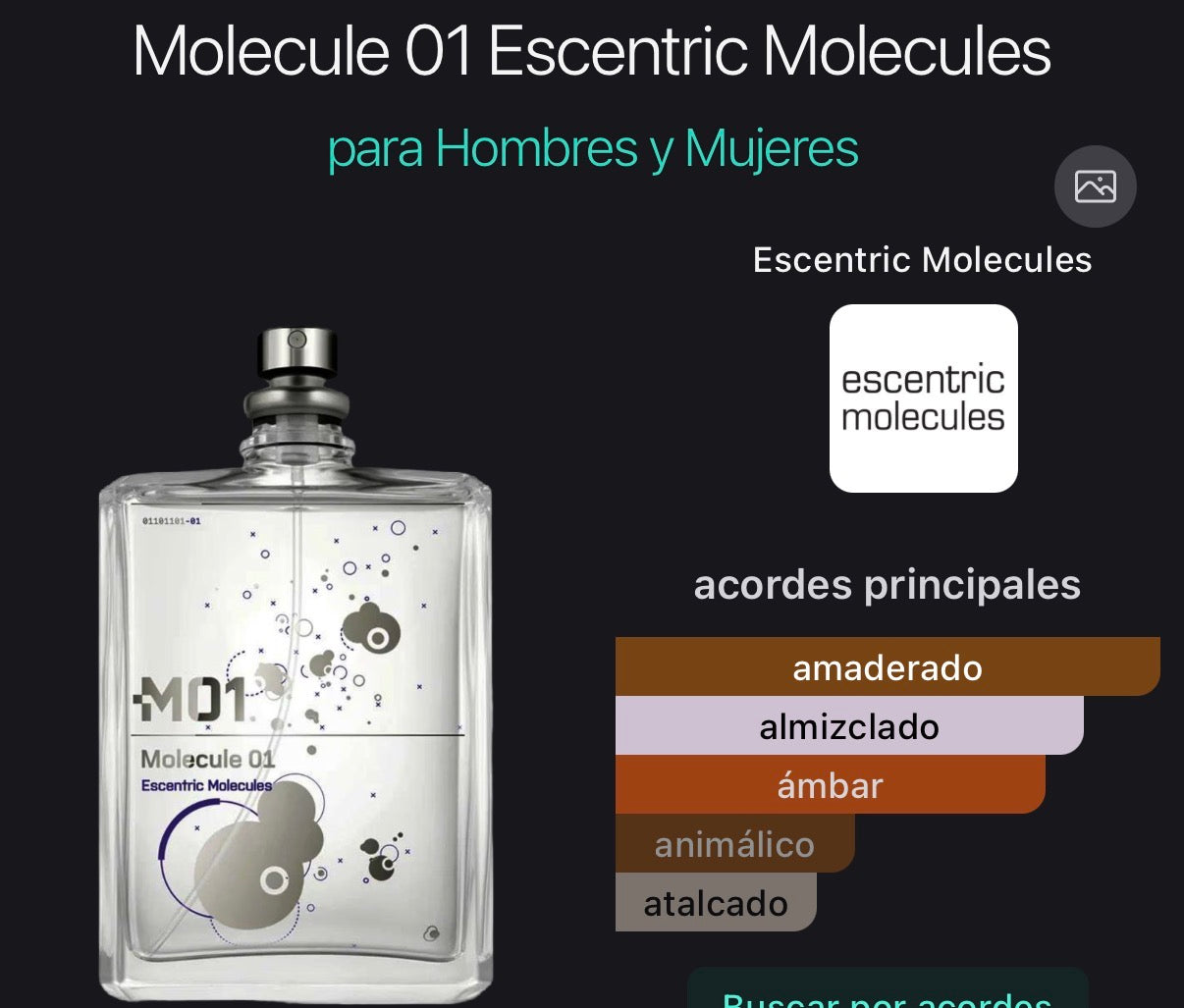 Molecule 01 Escentric Molecules 100 ml