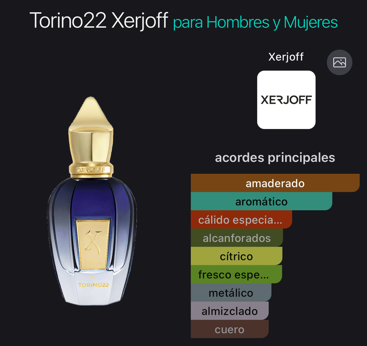 Acordes principales de Torino 22 de Xerjoff