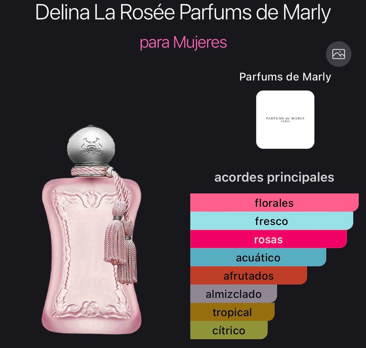 Acordes principales de Delina La Rosée de Parfums de Marly