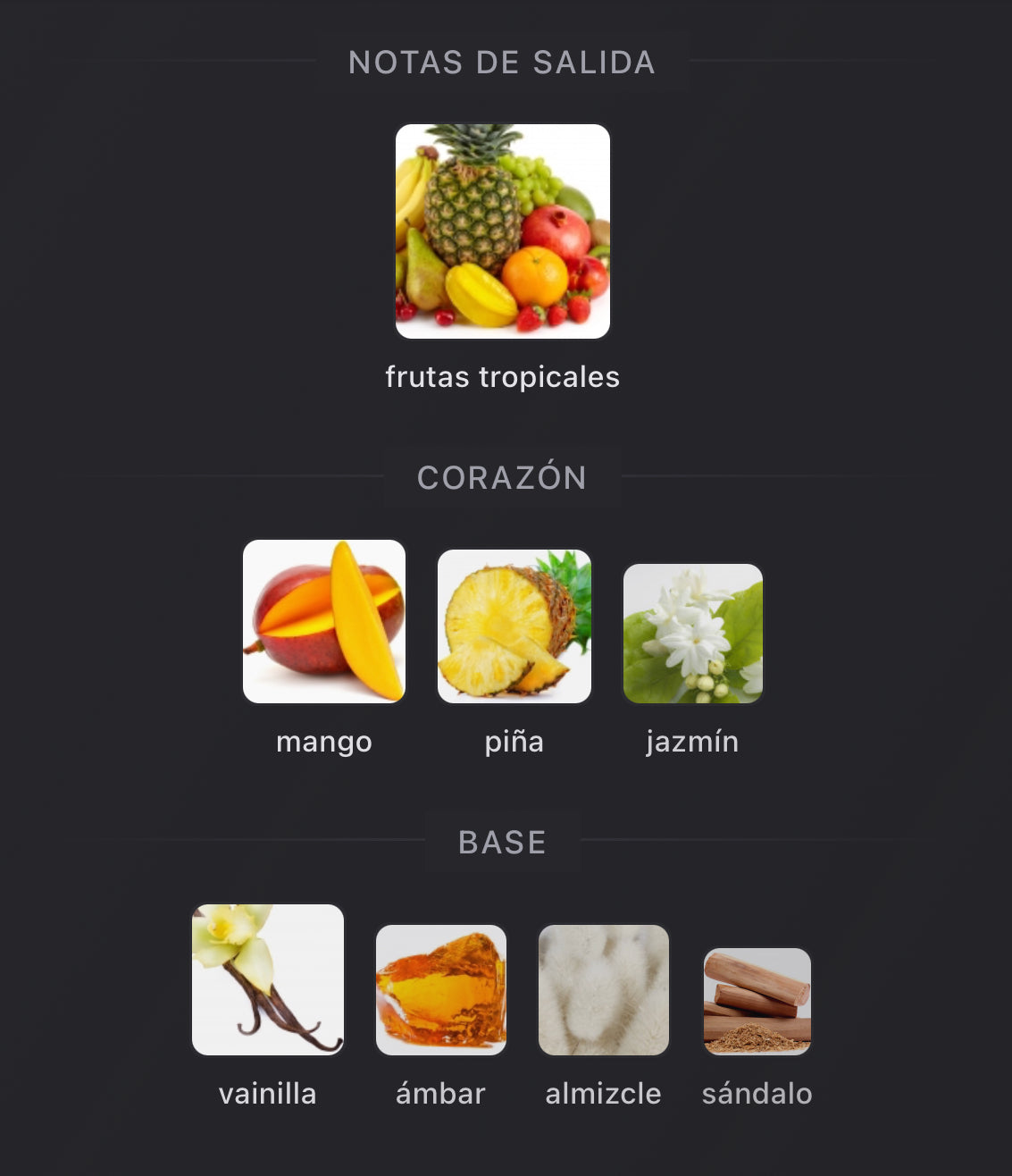 Coro Xerjoff Eau de Parfum 100 ml (Preventa)