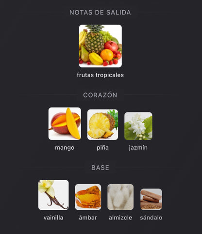 Coro Xerjoff Eau de Parfum 100 ml (Preventa)