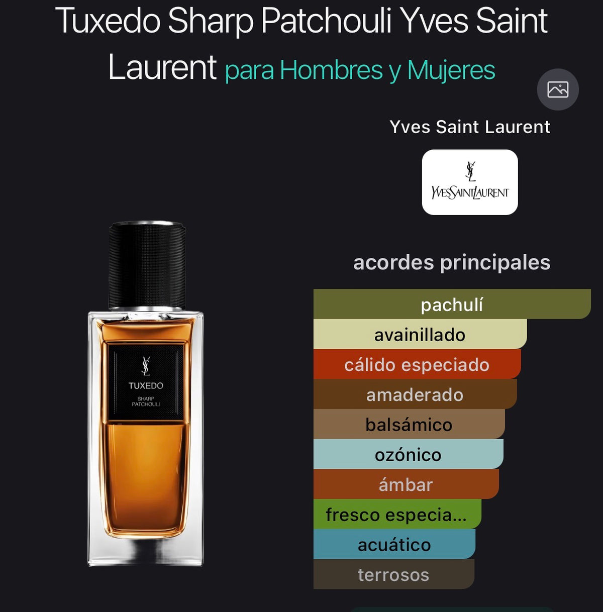 Tuxedo Sharp Patchouli Yves Saint Laurent