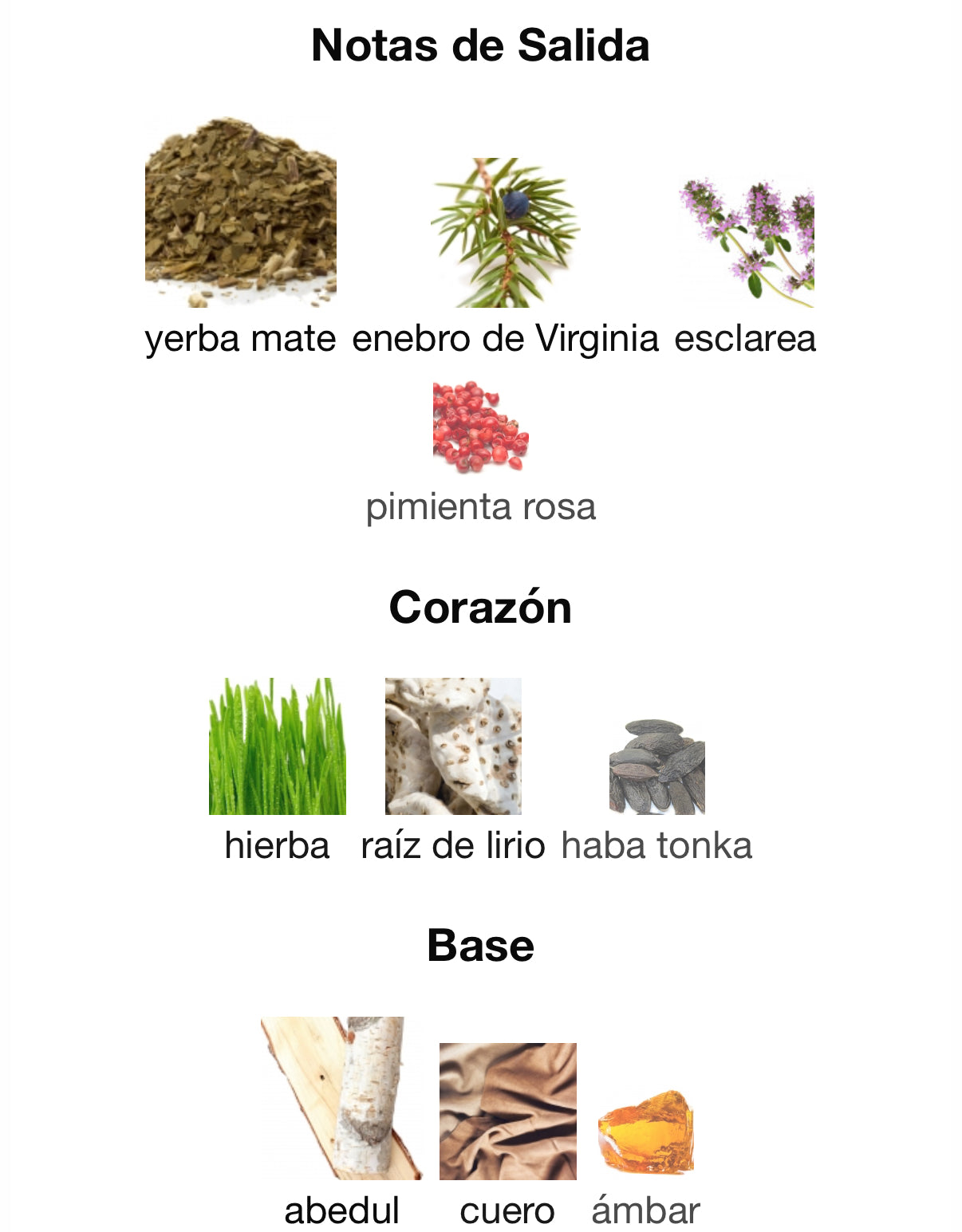 Brivido Della Caccia Argos Eau de Parfum 100 ml (Preventa)