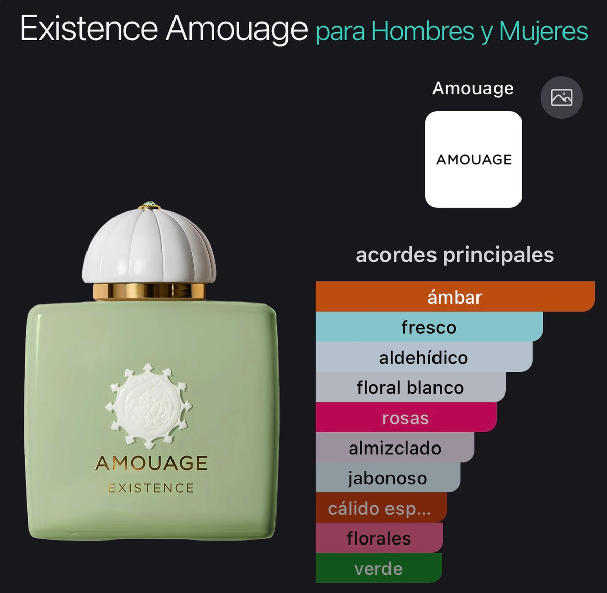 Amouage Existence Eau de Parfum 100 ml (Preventa)